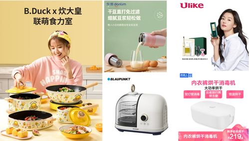 美容健康小家電搬進家庭,小家電新類目帶來消費品質(zhì)升級