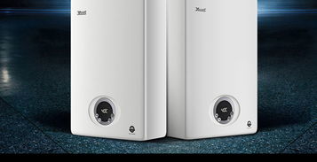 林內(nèi)燃氣熱水器rus c10e32ar f 10升冷凝精控恒溫 熱水器 大家電 家用電器 手機 大家電 神利家 線上一站式家庭服務(wù)平臺