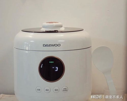 有哪些高顏值的小家電值得入手 這7件真心不錯,精致又實(shí)用